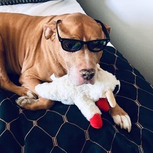 Meet your Posher, Justine